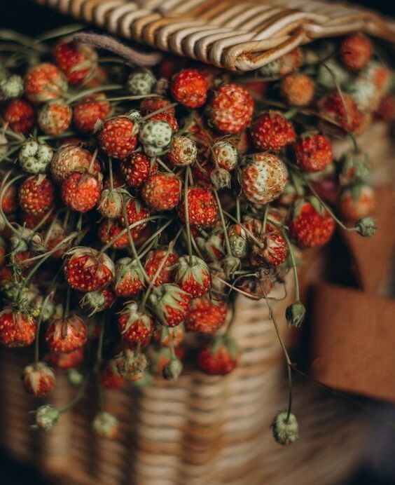 Alimentos de otoño: bayas